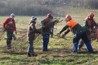 Zaberfelder Landschaftspflegetag am 08. Februar 2025 – Ein Erlebnis für die ganze Familie!