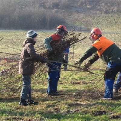 Landschaftspflegetag 2025 